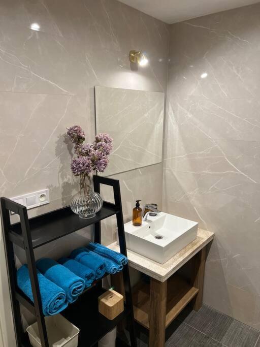 Nove Byvanie V Centre Kosic. Apartment *