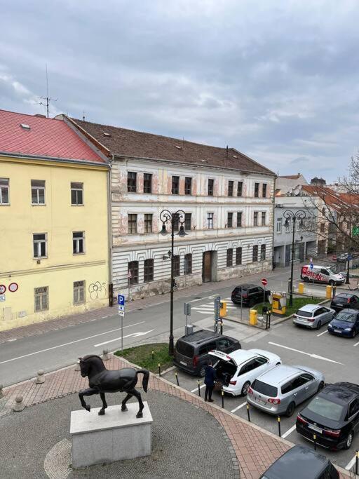 Apartment Nove Byvanie V Centre Kosic. Kosice